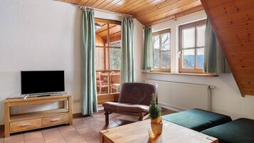 Fernseher, Tischtennisplatte