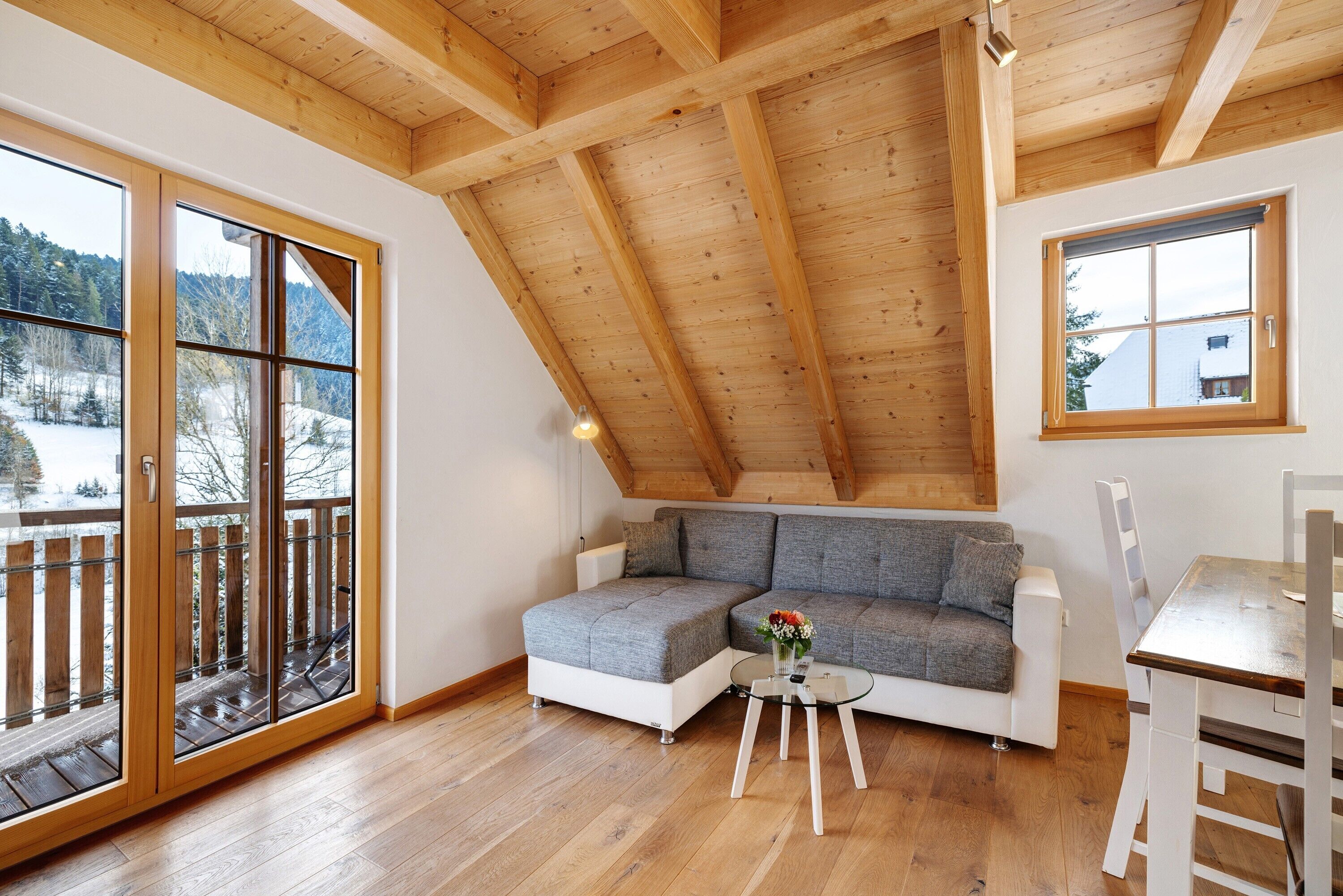 Televisio, pöytätennispöytä