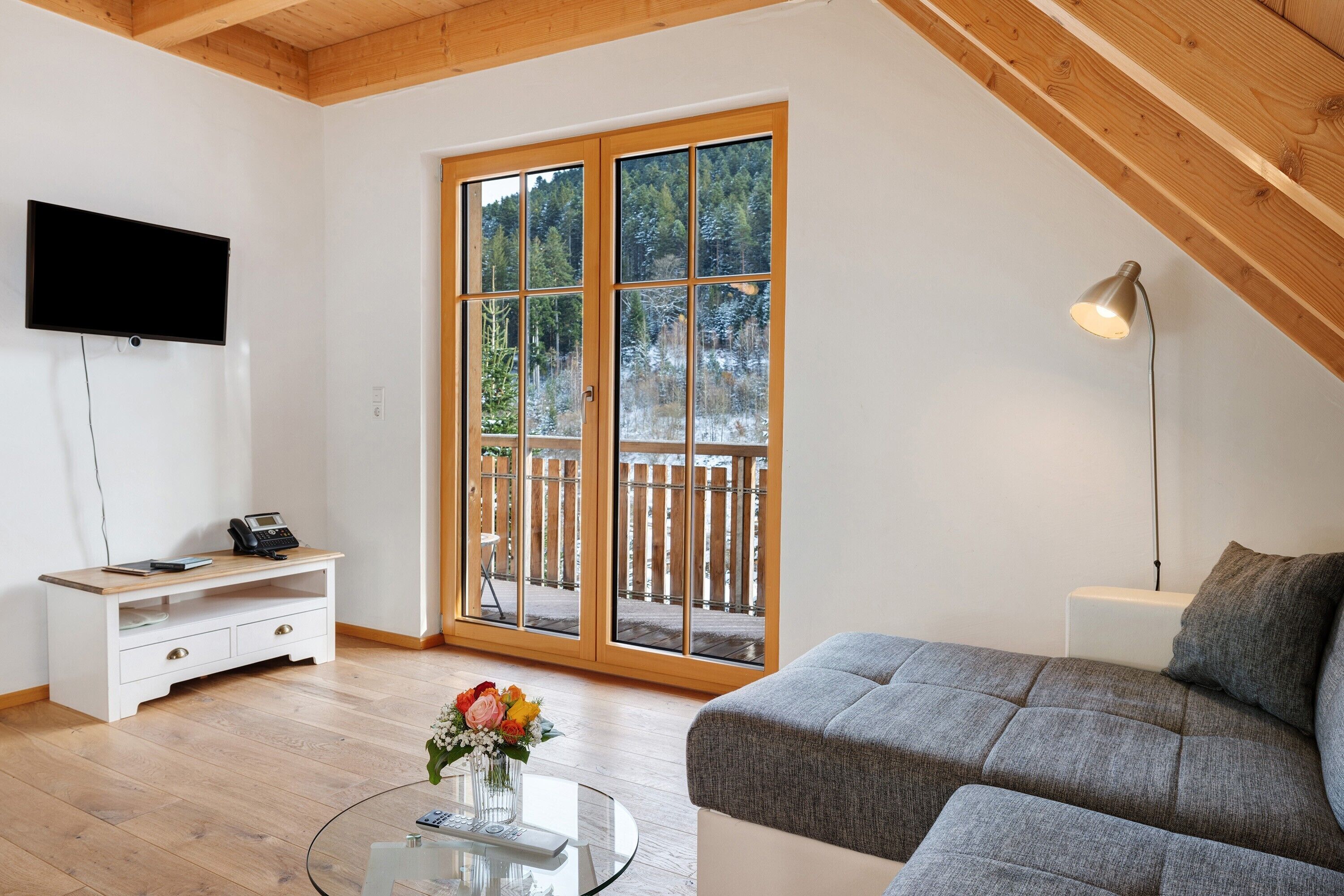 Télévision, table de tennis de table