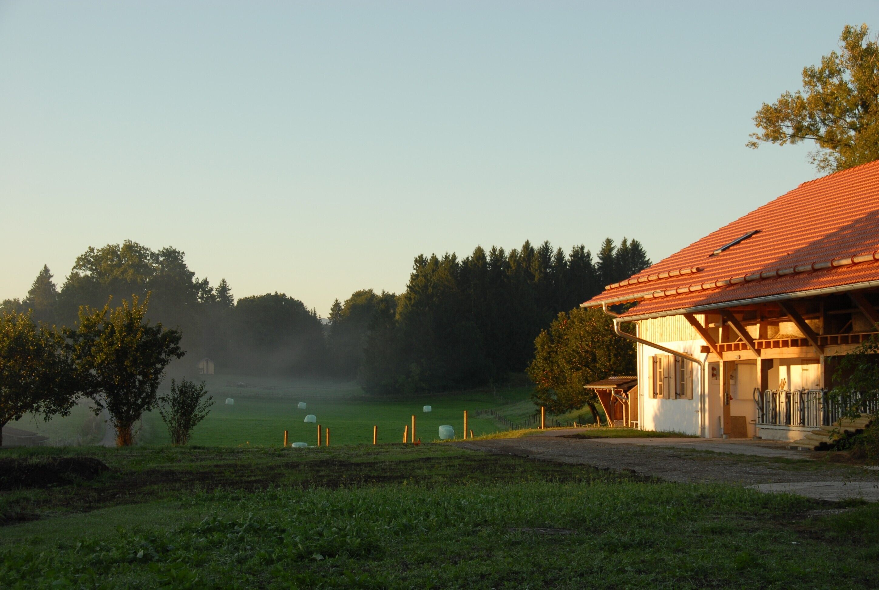 Ein ländliches Haus mit rotem Dach, umgeben von einem grünen Feld und Bäumen.
