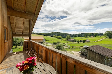 Property grounds. 'Green' Mattress Dormitory with Shared Terrace & Garden, WITHOUT Kitchen