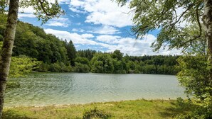 Un llac envoltat d'arbres i un cel serè.