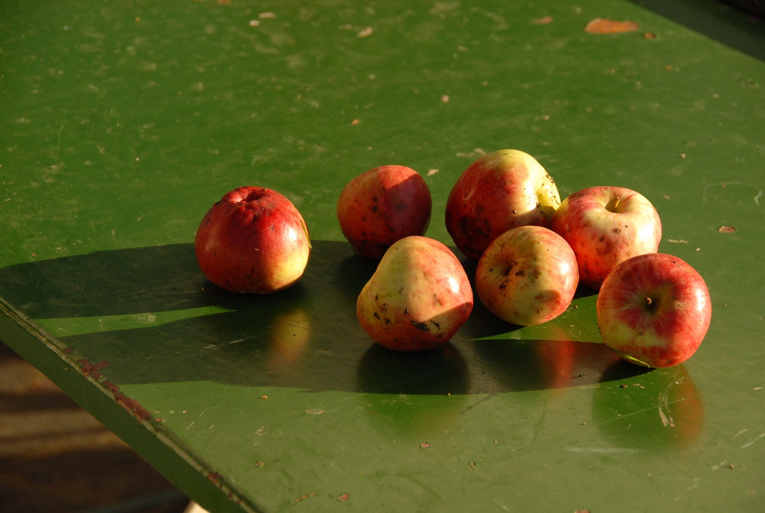 A green table with apples.
