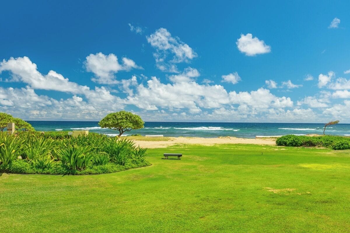 On the beach, sun-loungers, beach towels