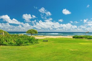Zona verde con un banco y un árbol, con vista a una playa y al océano.