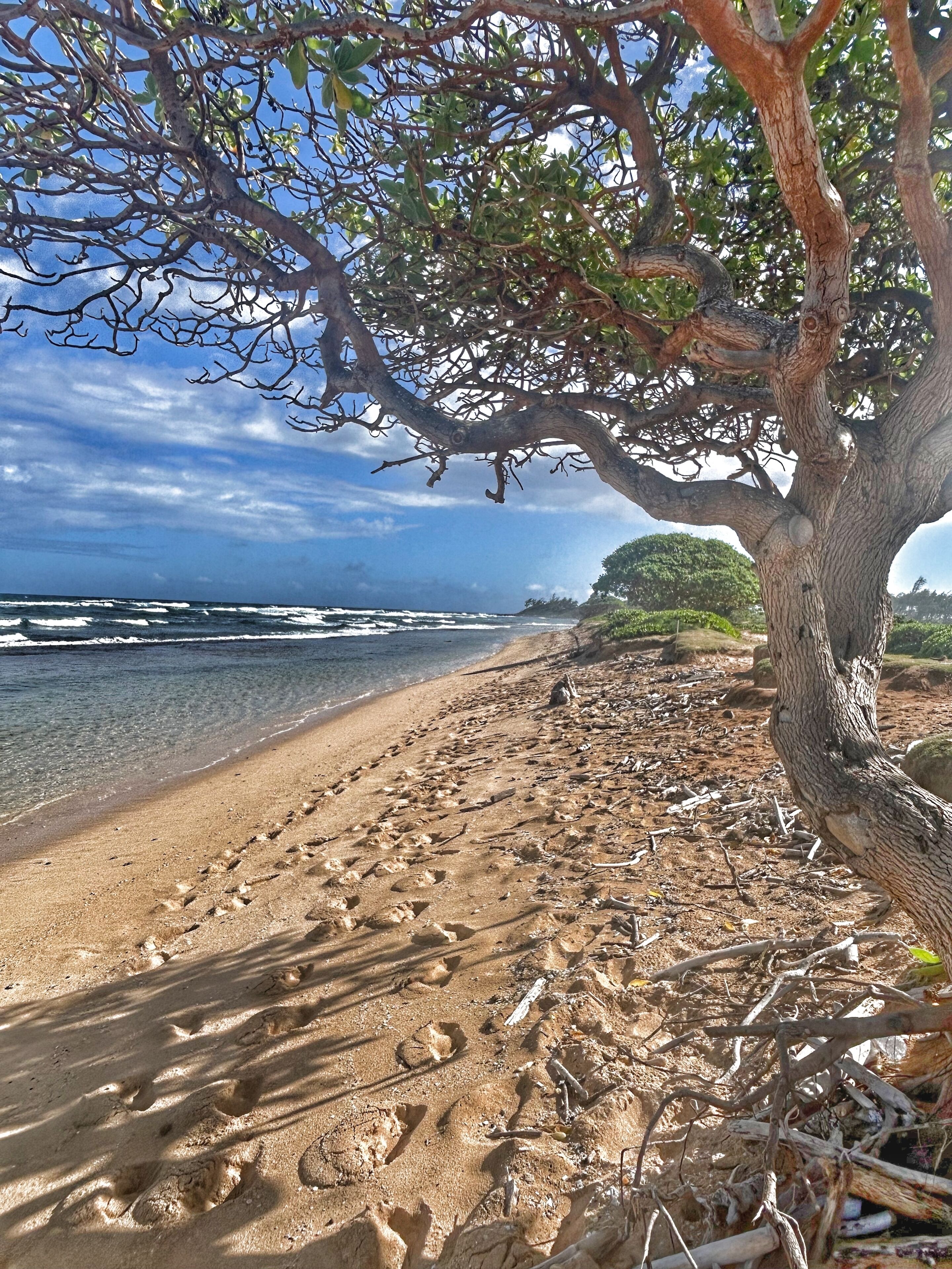 On the beach, sun loungers, beach towels