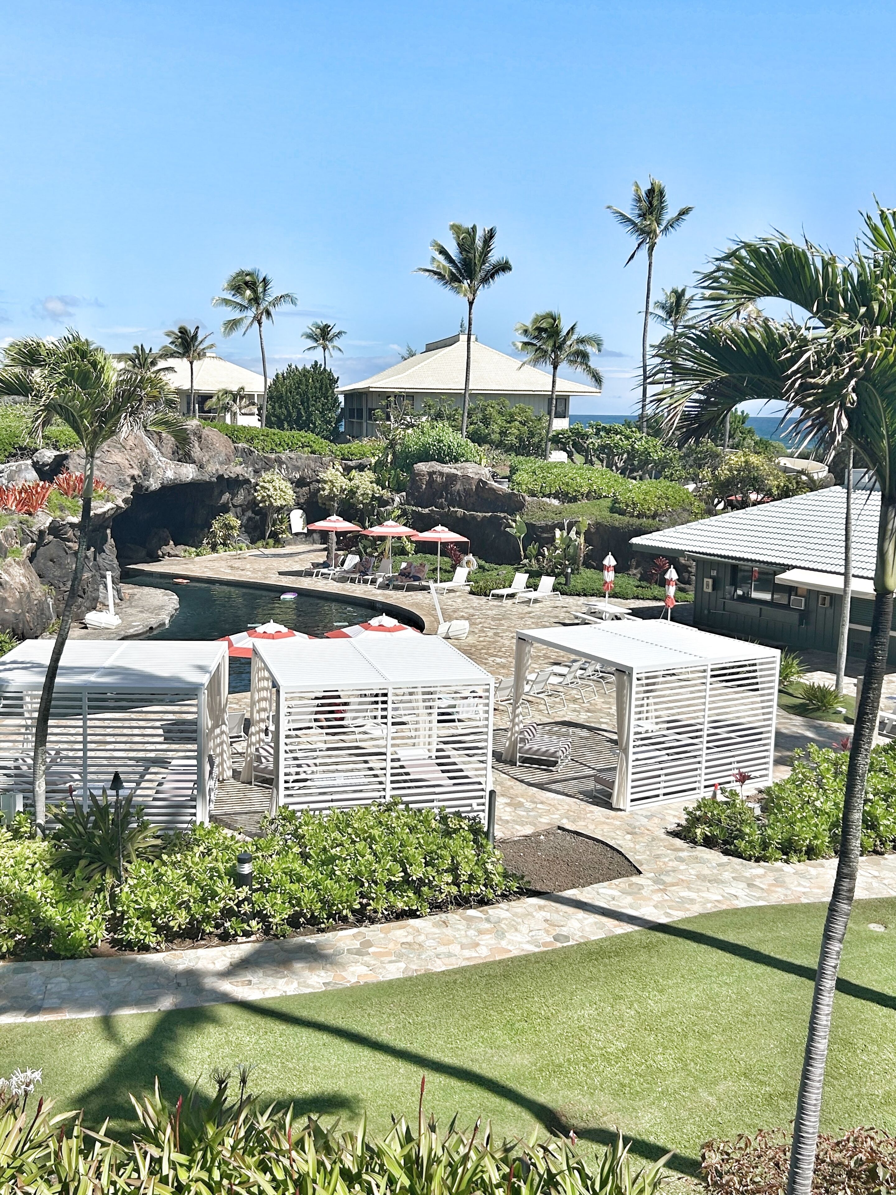 テラス / パティオ