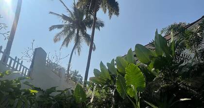 The Hornbill Villa Vagator Lux 3bhk With Pool