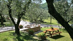 A picnic area with a wooden table and benches, surrounded by trees and potted plants. - Residence Uliveto (Garda)