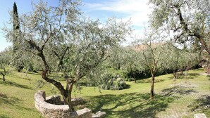 An olive grove with stone structures and a mountain in the background. - Residence Uliveto (Garda)