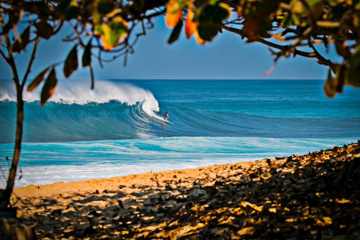 Uma praia com uma onda grande e um surfista.