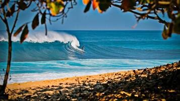 Uma praia com uma onda grande e um surfista.