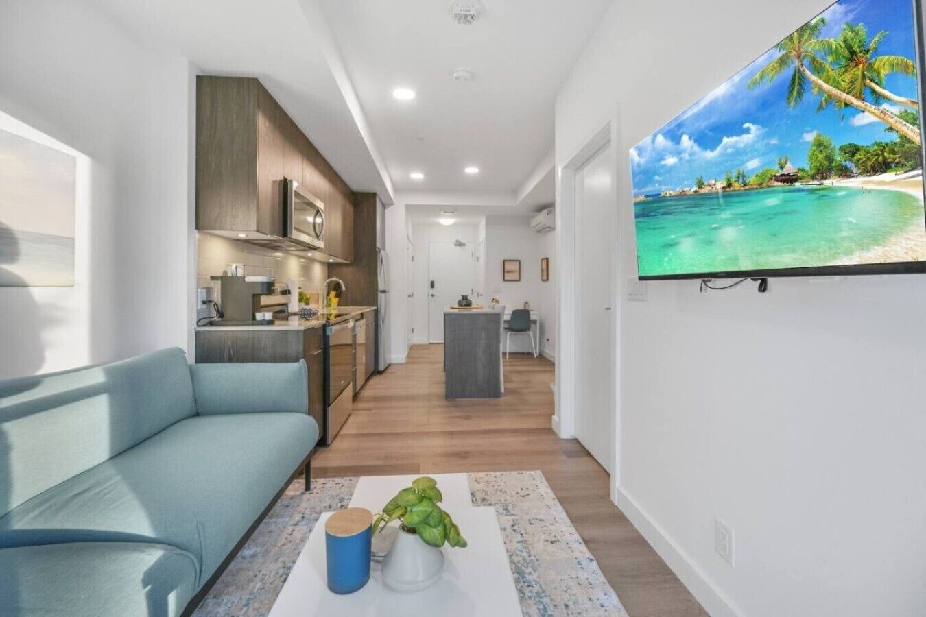 A modern living room with a sofa, a coffee table with a plant, and a kitchen area with cabinets and a TV displaying a beach scene.