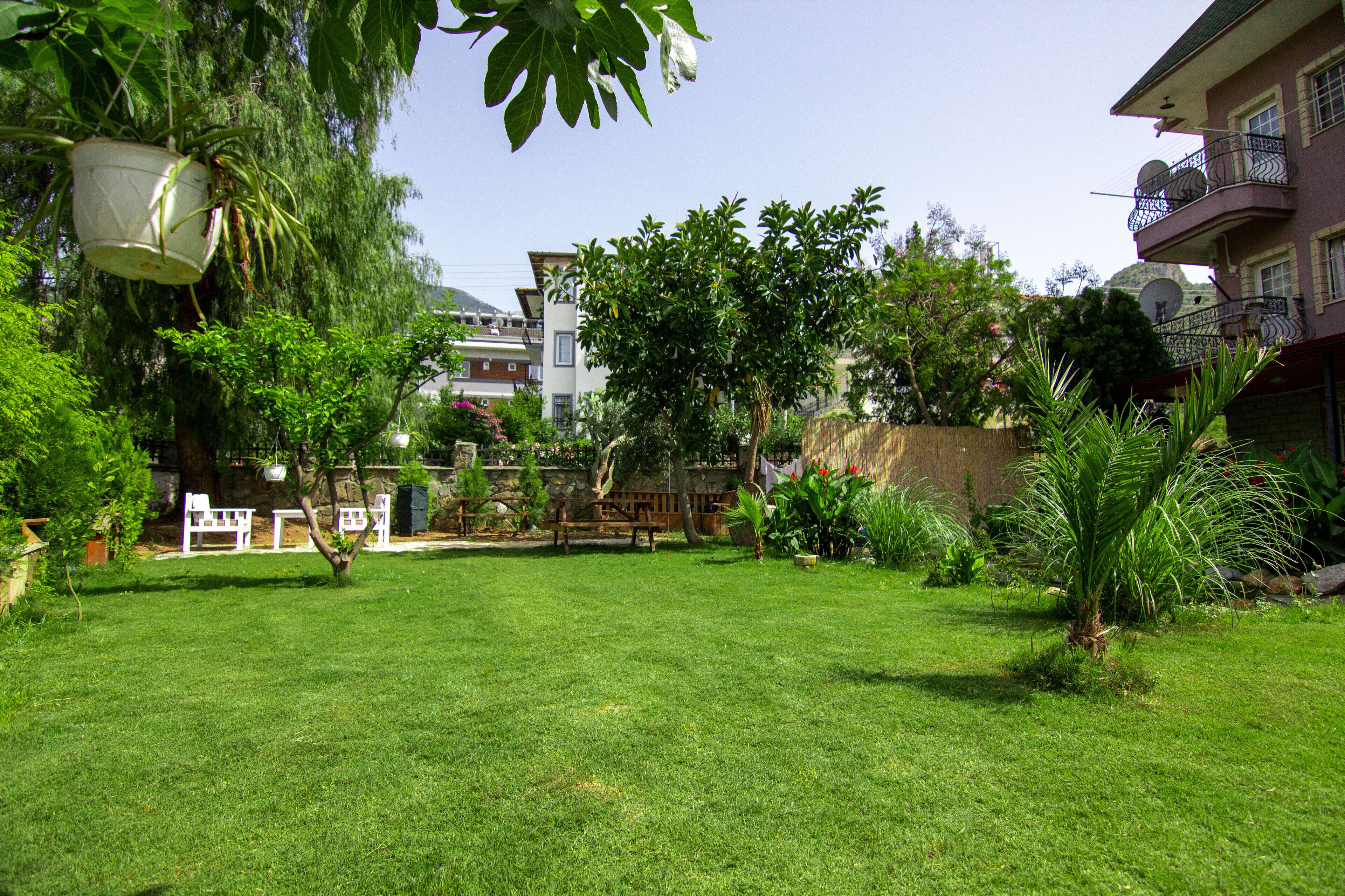 Ein gepflegter Garten mit Rasen, verschiedenen Pflanzen und Gartenmöbeln.