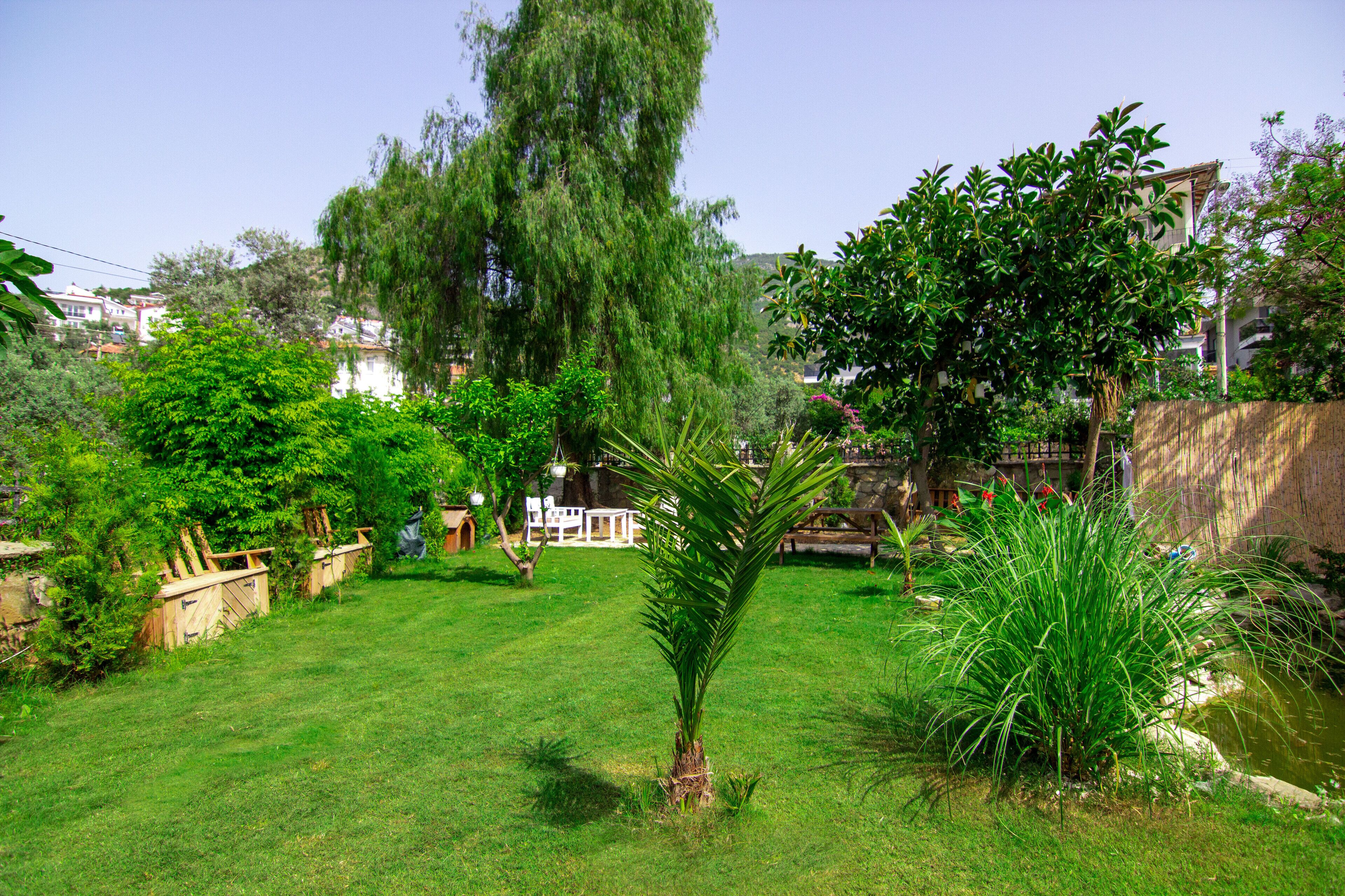A well-maintained garden with a variety of trees and shrubs, a small pond, and a wooden fence.