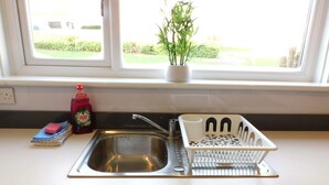 A kitchen with a stainless steel sink, a dish rack, a bottle of dish soap, and a potted plant on the windowsill. - 4 Bedroom, Newly Refurbished Home in East Kilbride (East Kilbride)