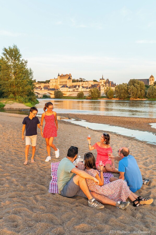 Beach - Charming house between Amboise and Chaumont sur Loire (Mosnes)