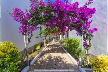 Beautiful private gardens around the apartment