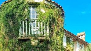 Un edificio con fachada blanca, hiedra verde cubriendo las paredes, una entrada de piedra y tejado de tejas.