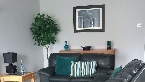 A modern living room with a dark leather sofa, a wooden coffee table, a green plant, and a framed artwork on the wall. - Bangor - 2 Bed Apartment- Sleeps 4 -privateparking (Bangor)