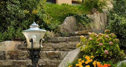 Zevnik Quiet Retreat With Stunning Views and Equestrian Activities
