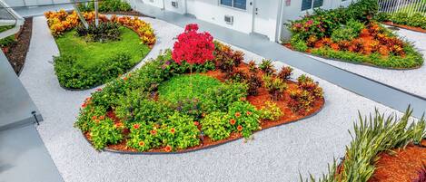 Àrea exterior de l'allotjament