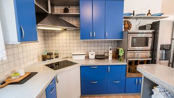 Apartment (Three Bedroom Apartment with Terrace) | Private kitchen | Fridge