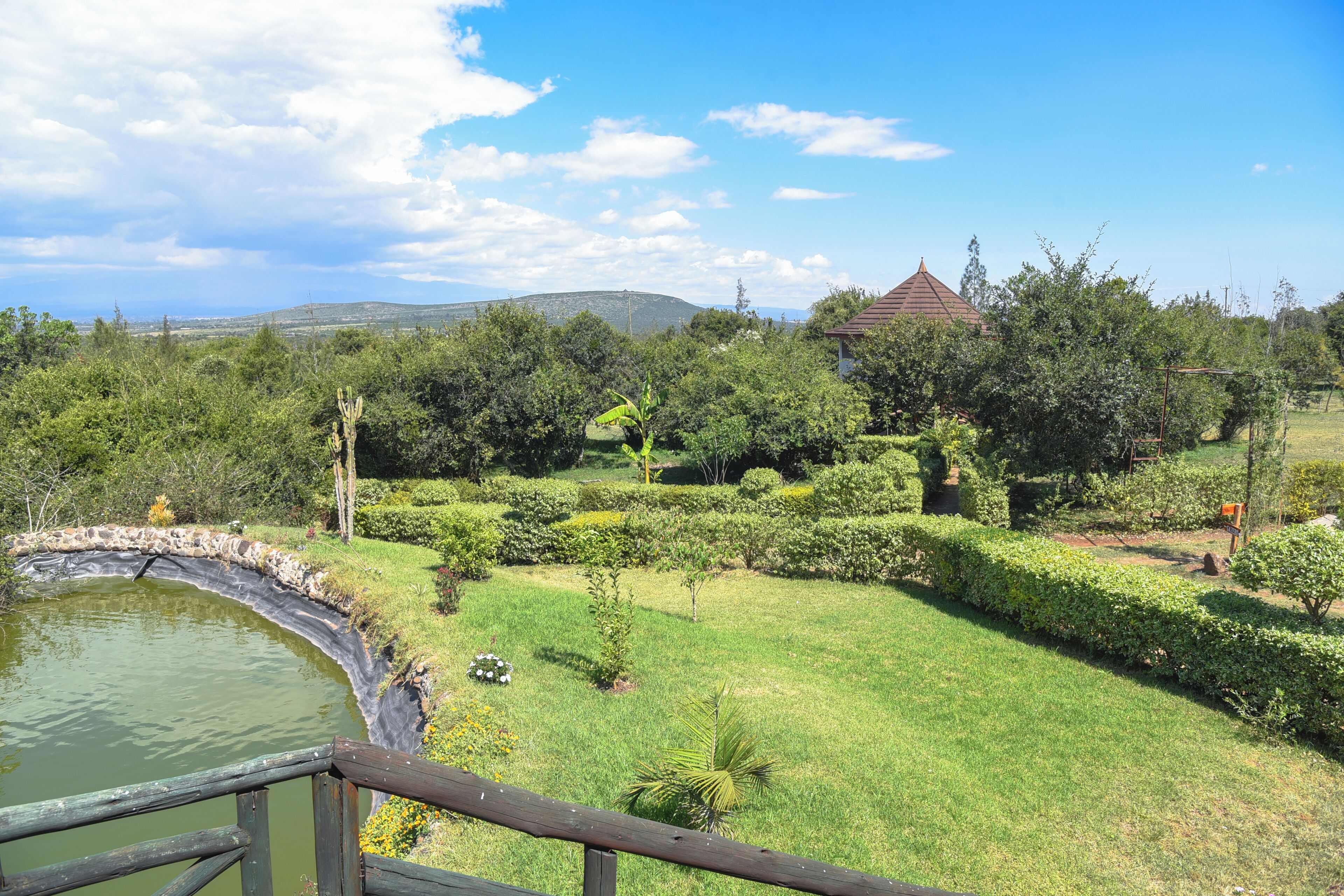 Vista desde la propiedad