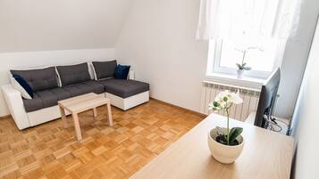 Apartment (One Bedroom Apartment) | Wohnzimmer