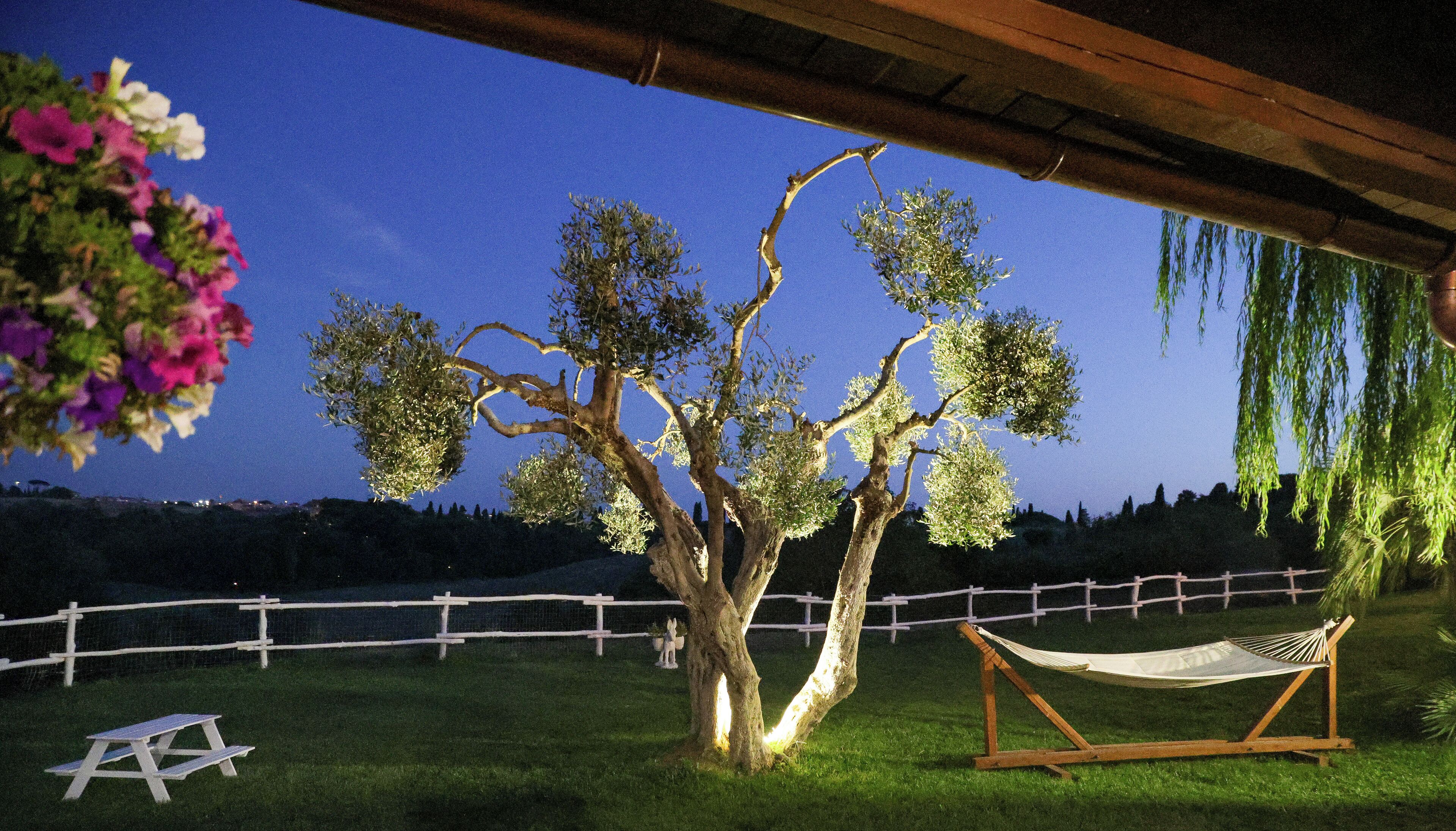 Căn hộ Deluxe, quang cảnh vườn | Quang cảnh vườn