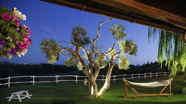 Un árbol con flores colgantes, una hamaca y una valla blanca en un jardín.