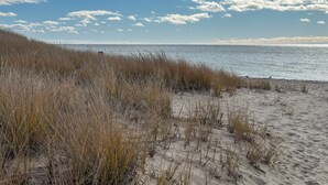 Ein Strand mit Sand und hohem Gras.