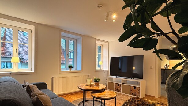 Ein modernes Wohnzimmer mit einer Couch, einem Couchtisch, einem Fernseher und einer Pflanze.