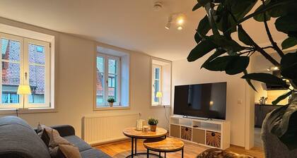 Freudenstadt: Dachterrassen-Apartment am Marktplatz – Haustiere willkommen!