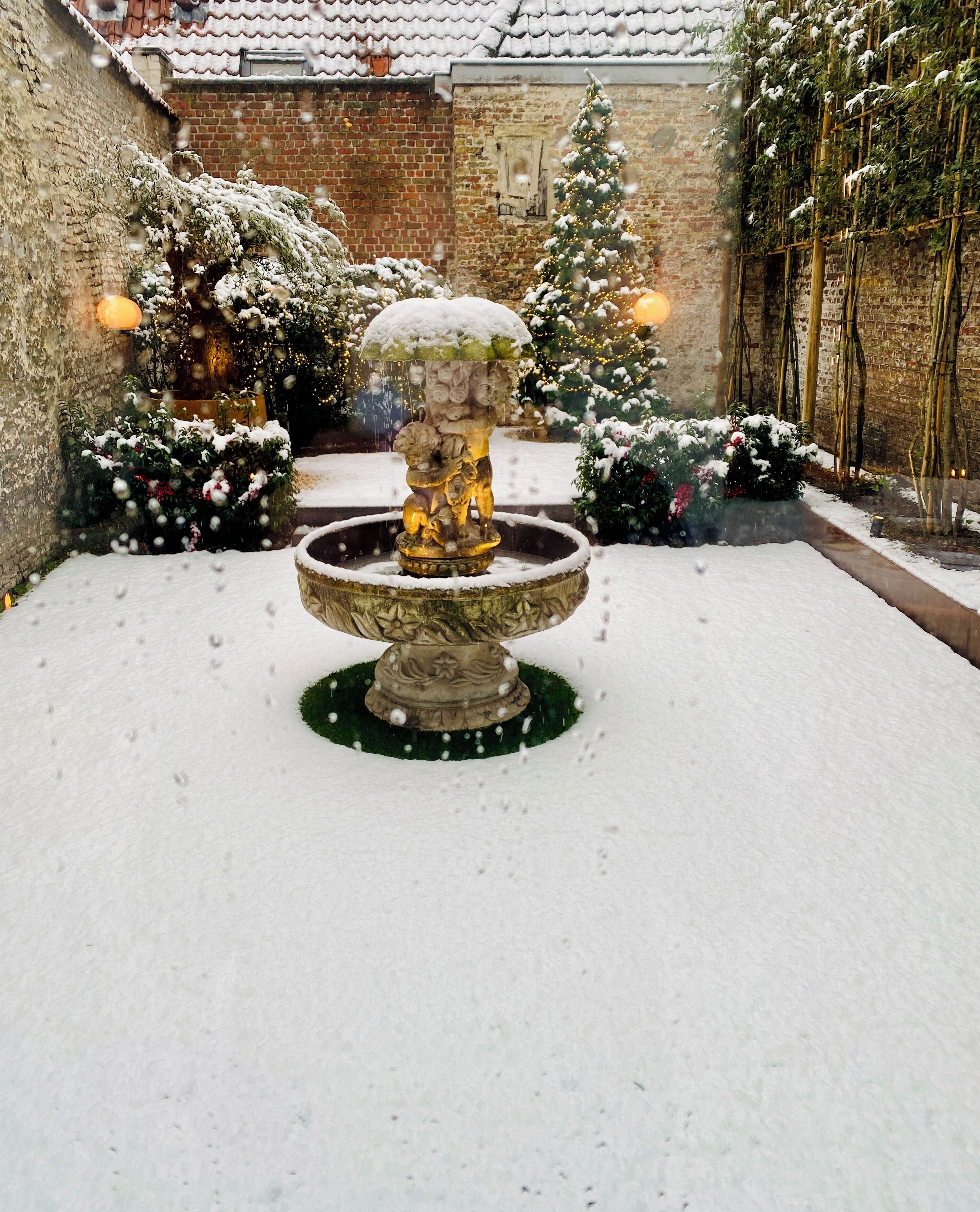 Foto - The Burgundy - Boutique B&B