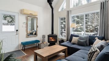 TV, fireplace, offices