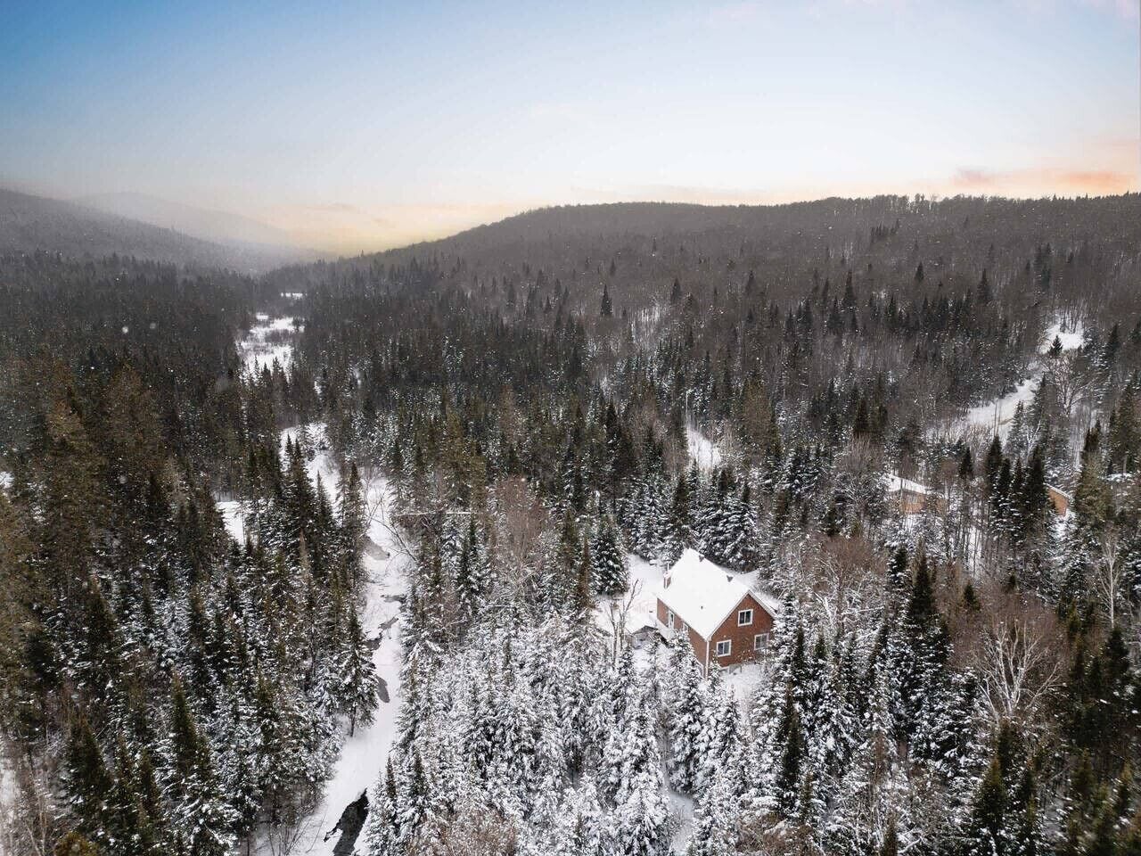 Una cabaña rodeada de un bosque denso y árboles cubiertos de nieve.