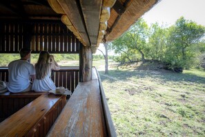 Game viewing - First Group Sanbonani Resort (Mbombela)