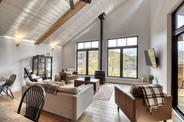 تلفزيون، مدفأة، ستيريو