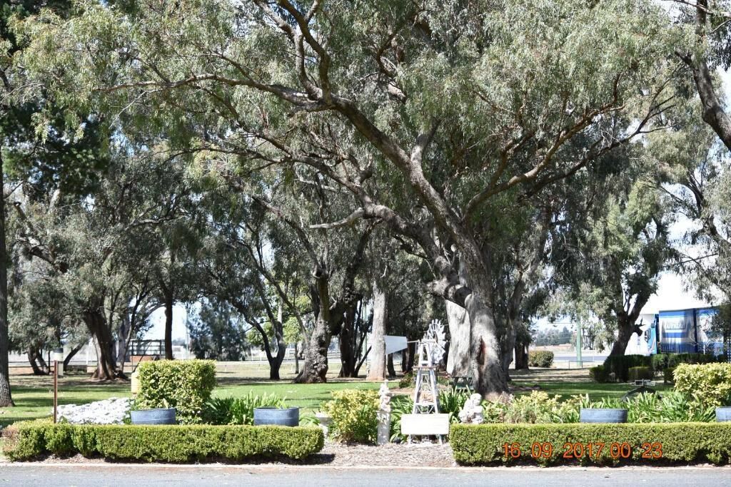 Economy-huone, näköala puutarhaan | Näkymä huoneesta