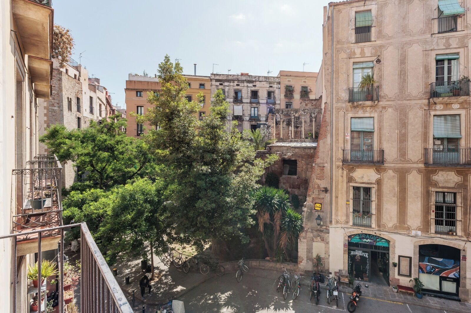 Una vista di strada con edifici, un albero e biciclette parcheggiate.