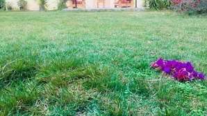 A grassy yard with a building in the background, a small table, and some potted plants. - Cosy homee (Alexandria Governorate)