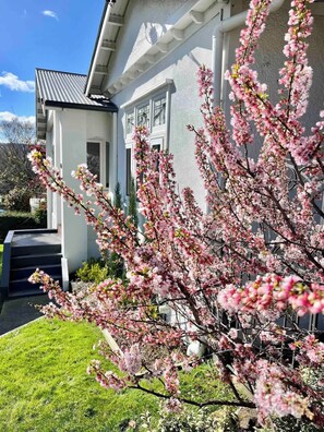 Property grounds - Carinya Charming Newstead home (Newstead)