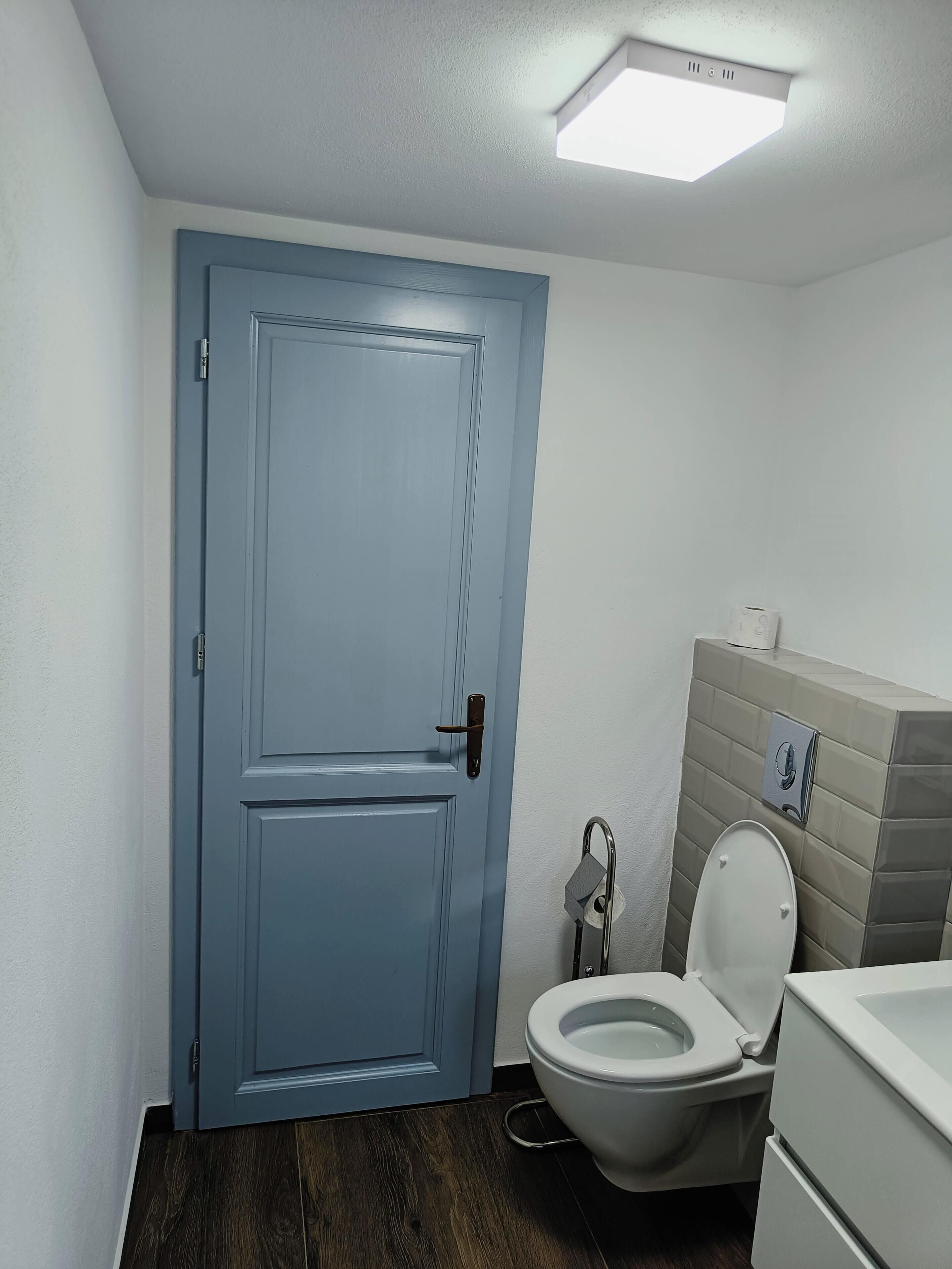 A bathroom with a blue door, a white toilet, and a tiled wall.