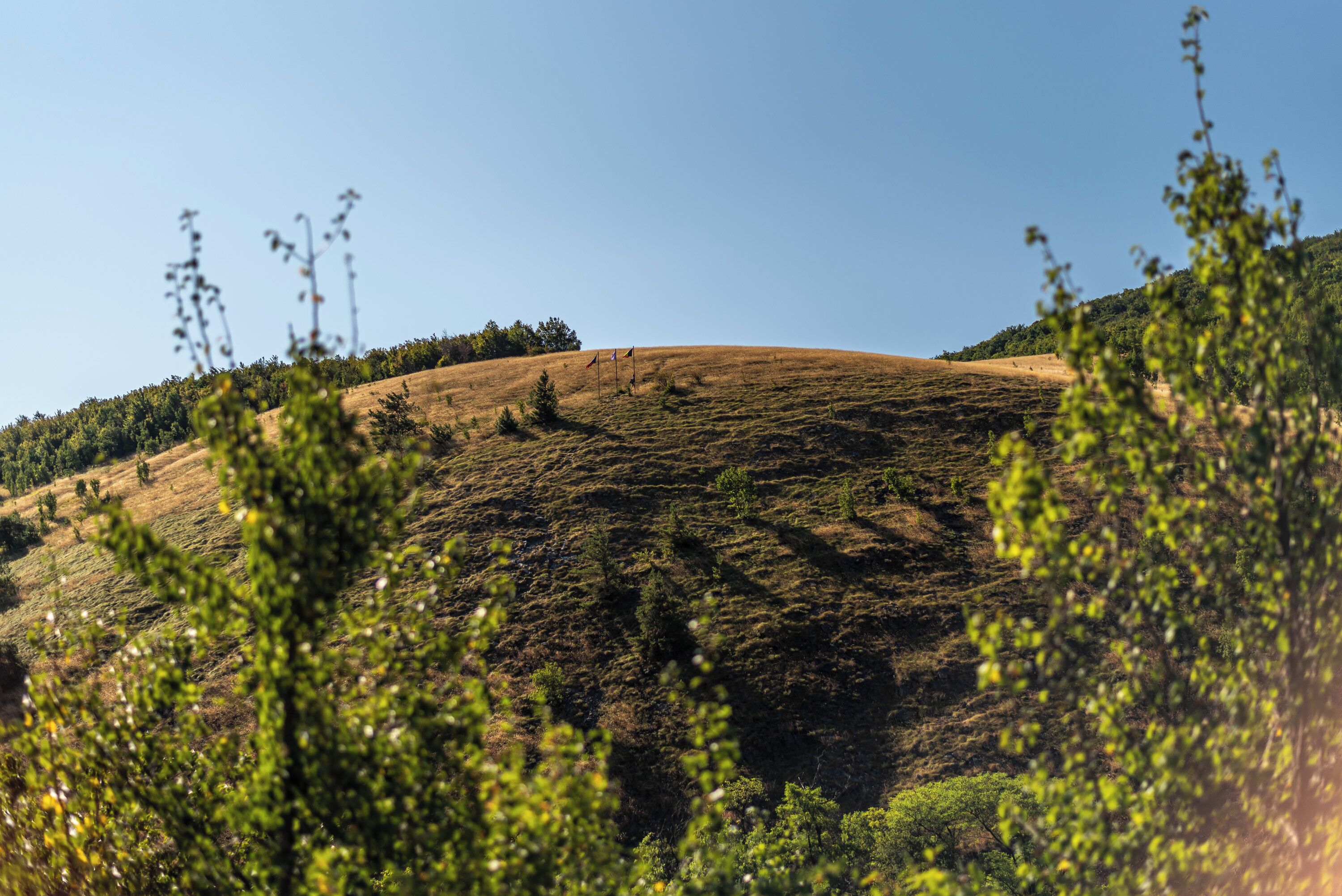 Un paysage vallonné avec une végétation clairsemée et un ciel dégagé.