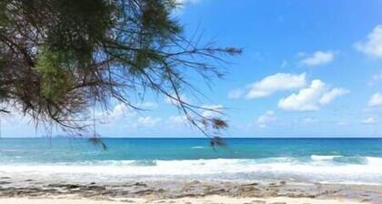 Dione Seaside Apartment with Sea View