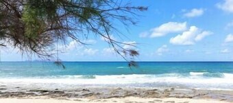 Dione Seaside Apartment with Sea View