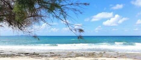 Playa