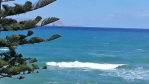 A coastal view with clear blue water, a distant mountain, and a tree in the foreground.