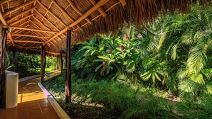 A covered walkway with a thatched roof, surrounded by lush tropical vegetation and a small water feature.